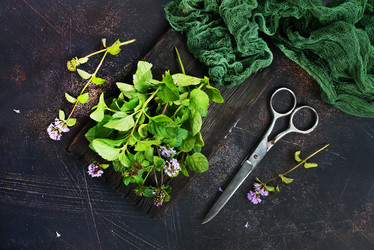 Similar image 17249909