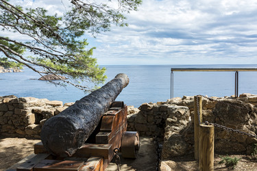 Similar image 17238222