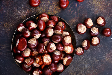 Similar image 17249551