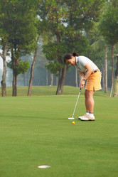 Similar image 17243342