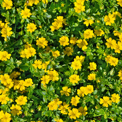 Similar image 17241034