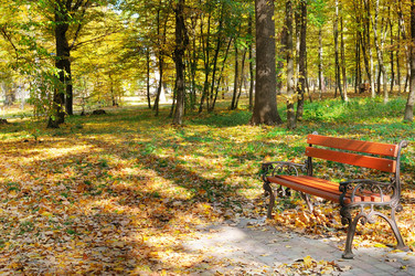 Similar image 17241037