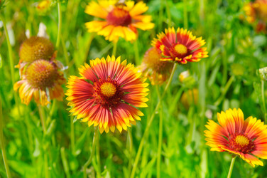 Similar image 17241045