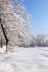 Similar image 17239466