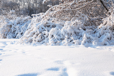 Similar image 17239490