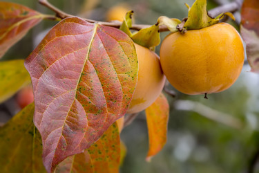 Similar image 17240960