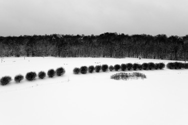 Similar image 17238255