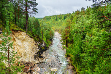 Similar image 17240856