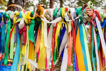 Similar image 17239511