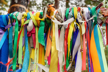 Similar image 17239513