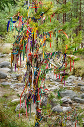 Similar image 17239500