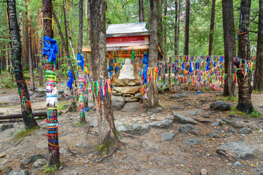 Similar image 17239501