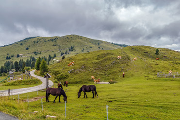 Similar image 17239618