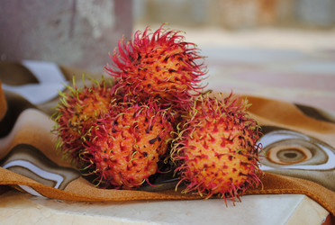 Similar image 17239471