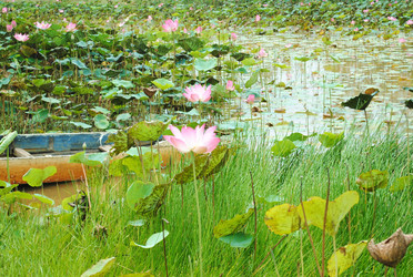 Similar image 17239473