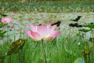 Similar image 17239474