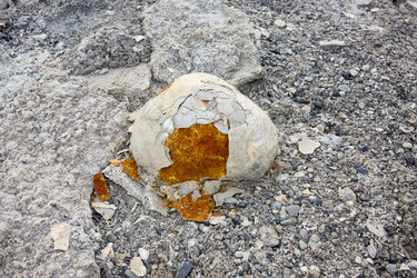 Similar image 17244643