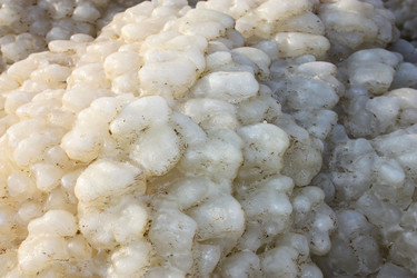 Similar image 17244659