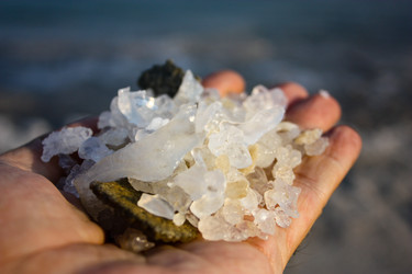 Similar image 17244664