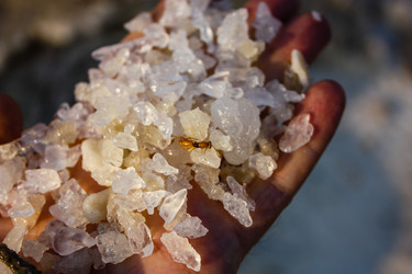 Similar image 17244675