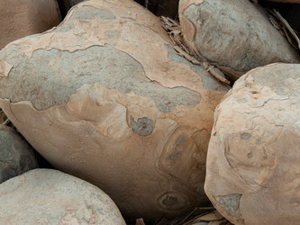 Similar image 17248516