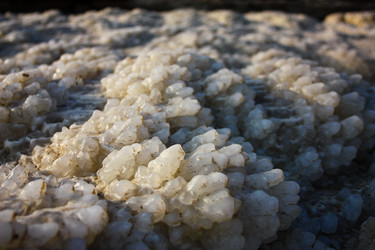 Similar image 17248540