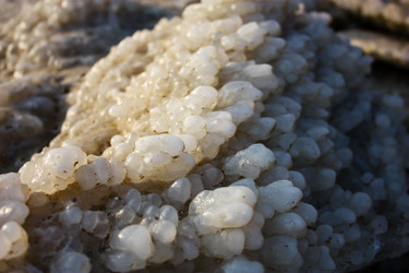 Similar image 17248543