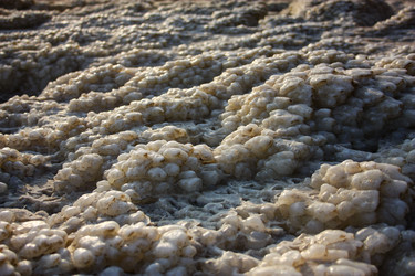 Similar image 17296696