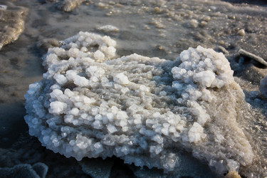 Similar image 17296711