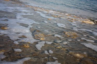 Similar image 17296762