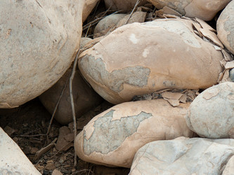 Similar image 17296783