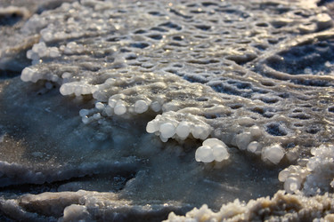 Similar image 17296856