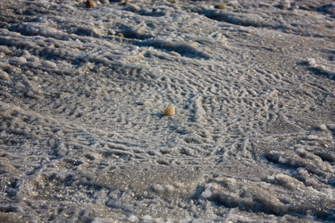 Similar image 17297502