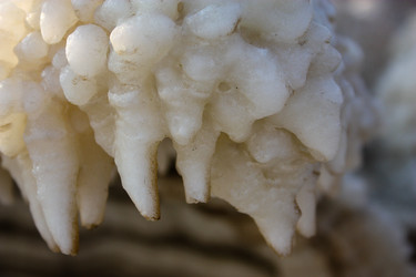 Similar image 17314898