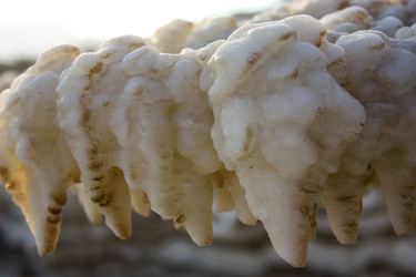 Similar image 17315167