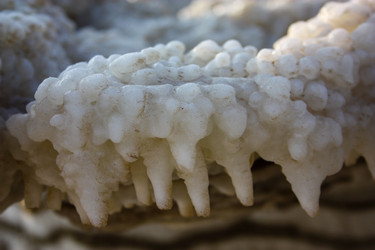 Similar image 17315236