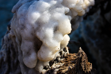 Similar image 17315268