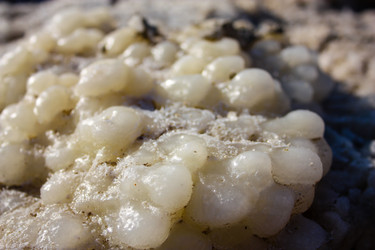 Similar image 17315891