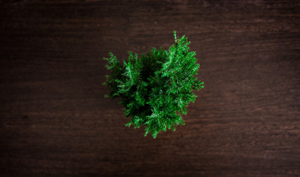 Similar image 17240782