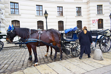 Similar image 17240965