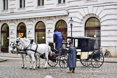 Similar image 17240966