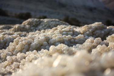 Similar image 17244585