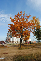 Similar image 17240832