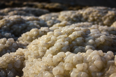 Similar image 17244637