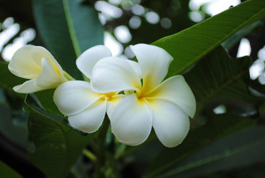 Similar image 17240860