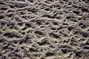 Similar image 17244679