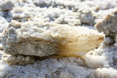 Similar image 17248544