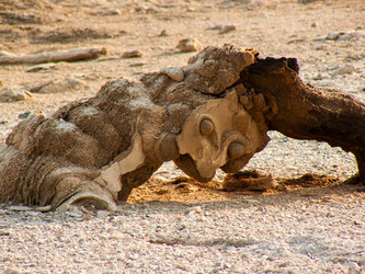 Similar image 17296873