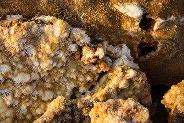 Similar image 17297572