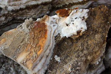 Similar image 17314745